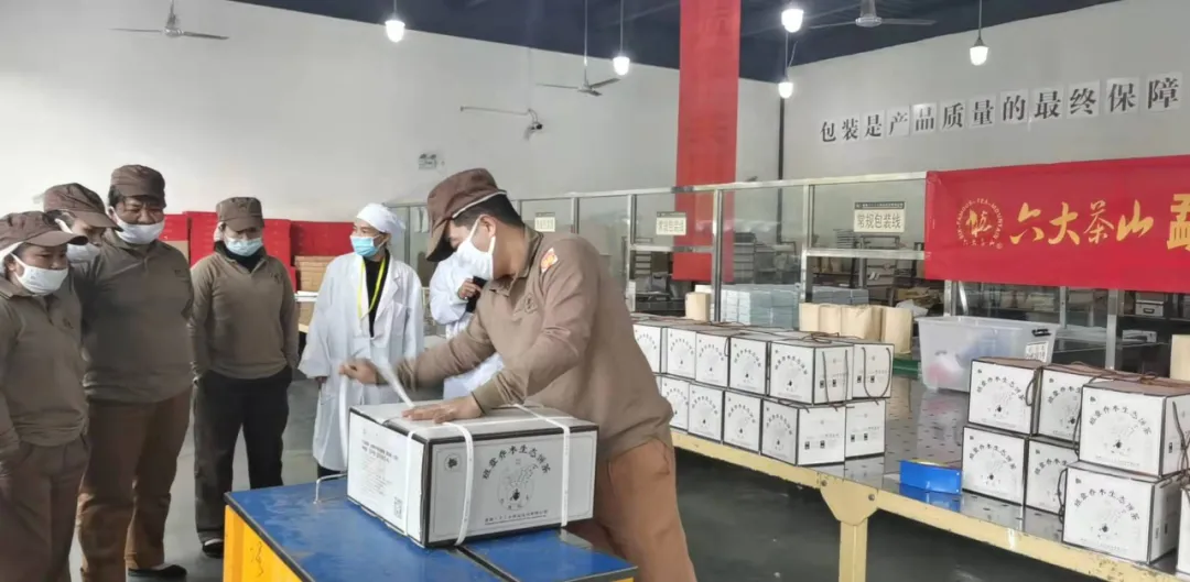 精益求精&middot;鑄造品質(zhì)｜六大茶山第十四屆技術(shù)大比武圓滿完成